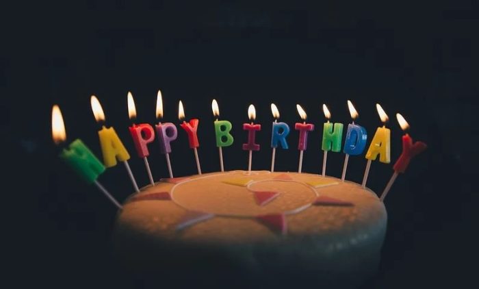ねずこの誕生日